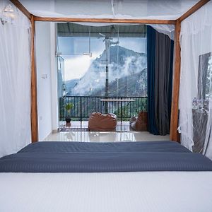 Belmount Ella